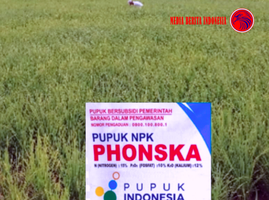Soal Isu Ketidak Sesuaian Harga Pupuk di Kabupaten Nias