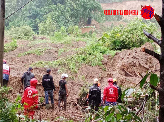 Pemerintah Harus Kembalikan Fungsi Kawasan Hutan