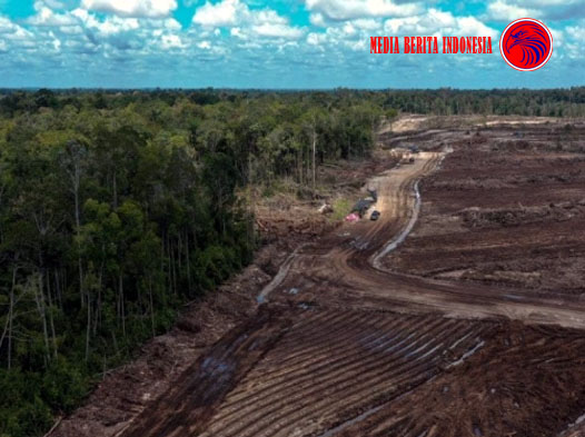Program Ketahanan Pangan di Kalteng Harus Berkesinambungan