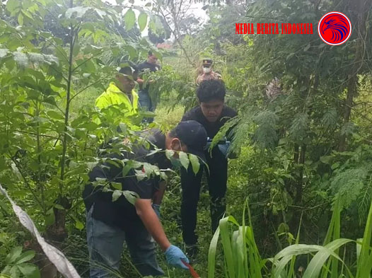 Wanita Tewas di Semak-semak Tangerang Ternyata Dibunuh