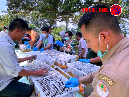 Gagalkan Penyeludupan 700 Ekor Burung Badan Karantina Banten