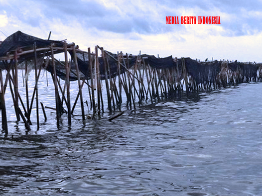 KKP-Pemkab Serang Inspeksi Aduan Pagar Laut di Perairan Pedaleman