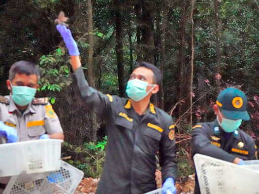 Karantina Kepri Lepas Liarkan