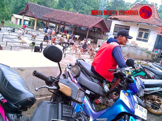 Dua Pekan Usai Dibuka Kembali Pasar Hewan Kini Wonogiri Terlihat Ramai Normal