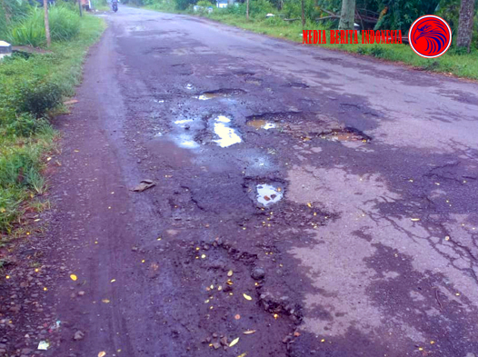 Jalan Desa Jl Raya Gandusari Kampak Trenggalek