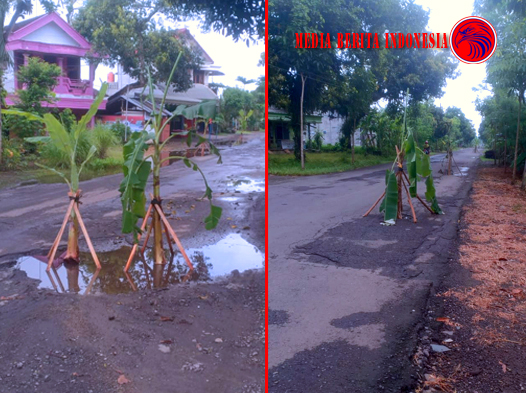 Jalan Desa Wonoanti Gadusari Trenggalek Meresahkan masyarakat