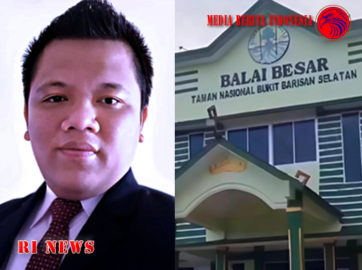 Alih Fungsi Hutan TNBBS Jadi Perkebunan Kopi Ilegal