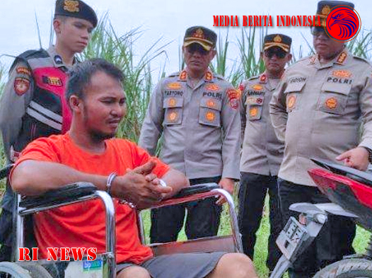 Mengungkap Kisah Tragis Pembunuhan Wanita di Kebun Tebu