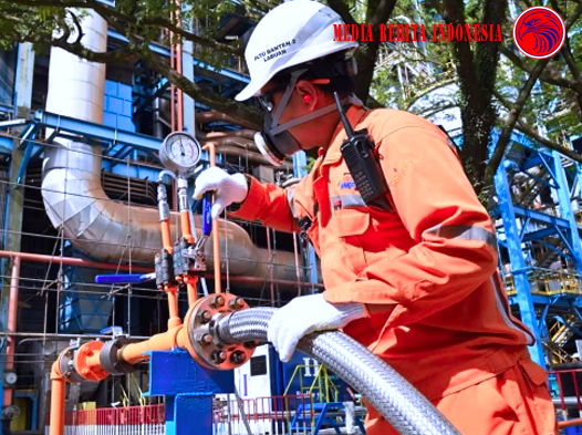 PLN Gunakan Amonia Hijau di PLTU