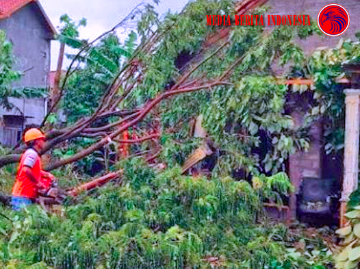 Sragen 5 Kecamatan Porakporanda di Hantam Lesus Korban 1 Warga Luka Ringan