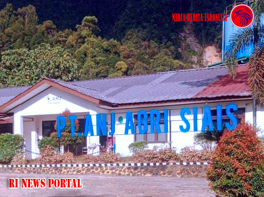 Seputar Profile First Resources Limited