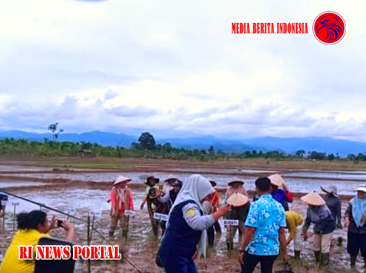 Eksklusi Wartawan dan LSM Tapan dalam Kegiatan Penanaman Padi Serentak