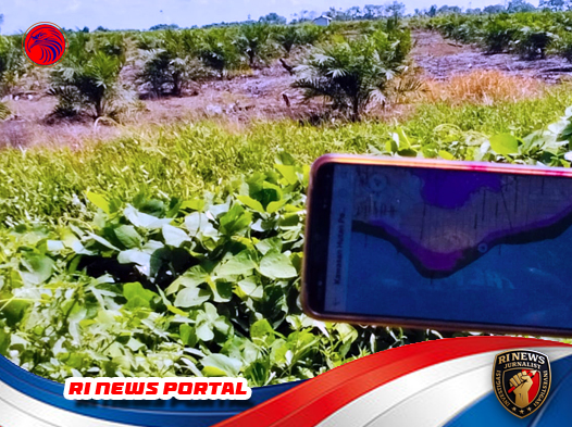 Indikasi Pelanggaran Hukum dalam Aktivitas Perkebunan di Kawasan Hutan Lindung Ujung Tanjung