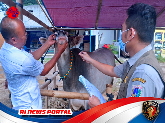 Inspeksi Penampungan Hewan Kurban oleh Satpol PP Jakarta Barat