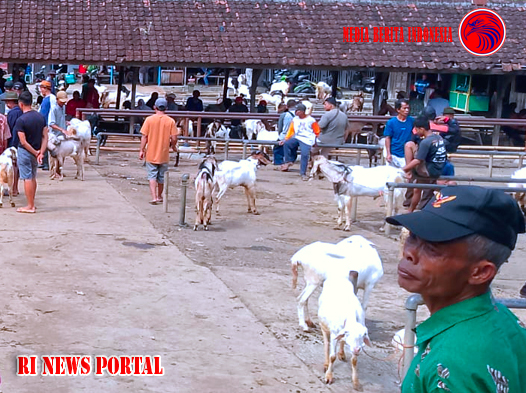 Permintaan Hewan Kurban di Wonogiri Meningkat Jelang Idul Adha 1446 H