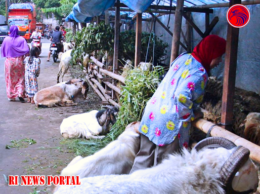Upaya Menjaga Ketertiban dan Kesehatan Publik Menjelang Idul Adha