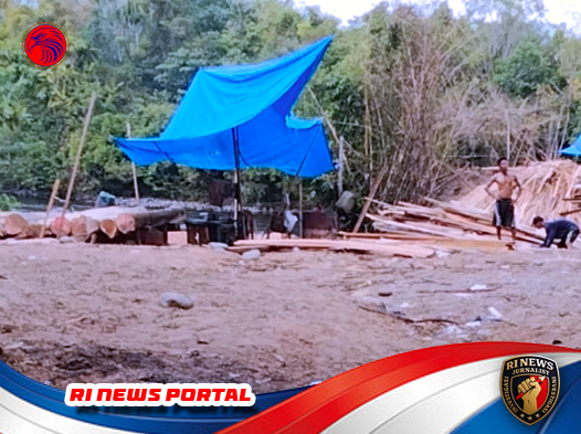 Marak Pembalakan Liar di Lunang Silaut