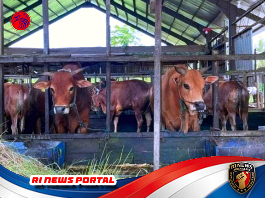 Pedagang Wonogiri Siap Suplai Jakarta-Bandung