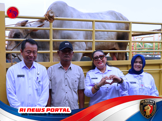 Pemkab Gunungkidul Salurkan Bantuan Hewan Kurban Menjelang Idul Adha 2025
