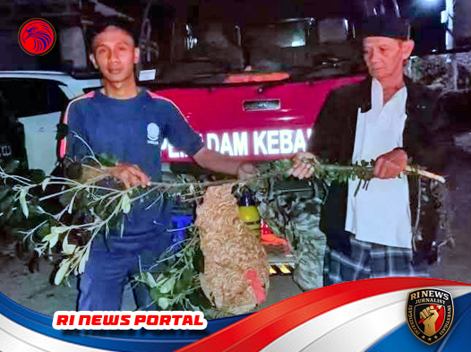 Peningkatan Kasus Sarang Tawon di Pandeglang