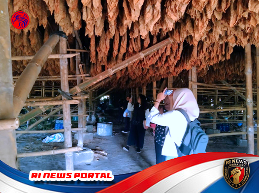 Warisan Sejarah Sumatera yang Terancam dan Harus Dilestarikan