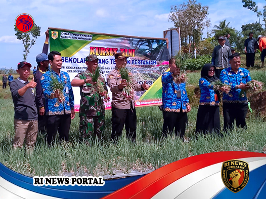 Inovasi Diversifikasi Pertanian oleh Gapoktan Lestari Pelem