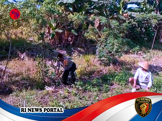 Peran Aktif Bhabinkamtibmas Desa Munding dalam Mendukung Ketahanan Pangan di Kabupaten Semarang