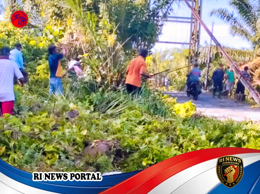 Gotong Royong Kampung Tanjung Medan