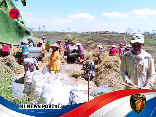 Kenaikan Harga Gabah di Wonogiri
