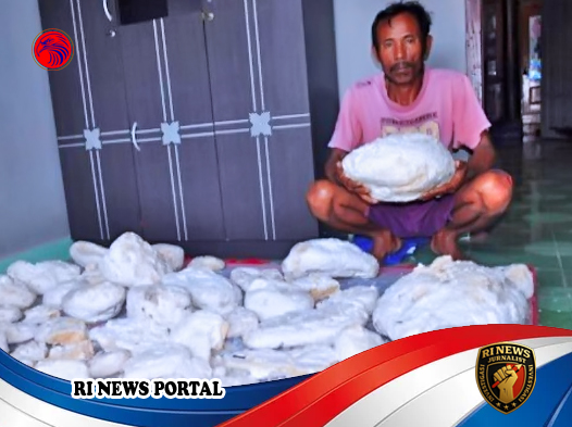 Penemuan Ambergris di Samudra Hindia