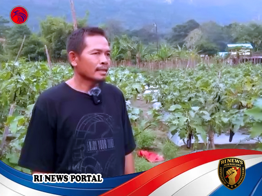 Potensi Hortikultura di Kelam Permai
