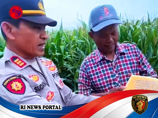 Polsek Sumberlawang Gelar Sosialisasi Harga dan Prosedur Penjualan Jagung ke Perum Bulog