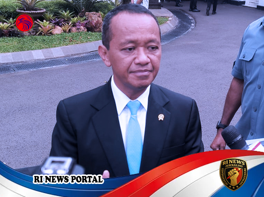 Pemerintah Indonesia Rencanakan DMO Sawit untuk Dukung Program Biodiesel B50