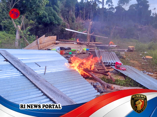 Penegakan Hukum Tegas Atasi Perambahan Hutan di Lunang dan Silaut