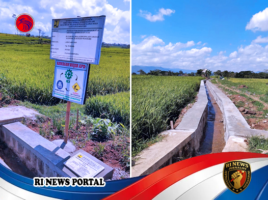 Petani Jatipurwo Wonogiri Panen Tiga Kali di Musim Kering Berkat Program Padat Karya Irigasi Prabowo