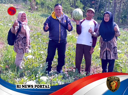 Petani Tanggulangin Sukses Panen