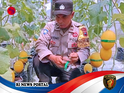 Polisi yang Mengubah Tanah Kosong Menjadi Lahan Inspirasi