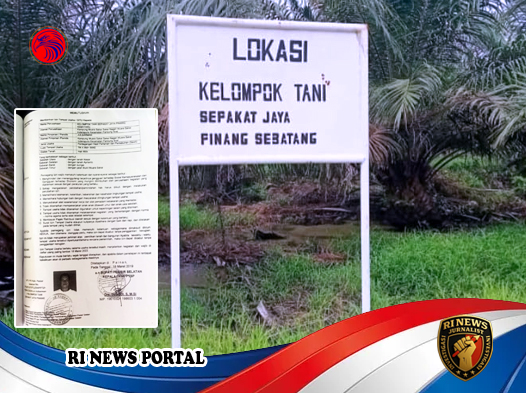 Analisis Hukum atas Transaksi Tanah Ulayat dan Dampak Deforestasi Massal