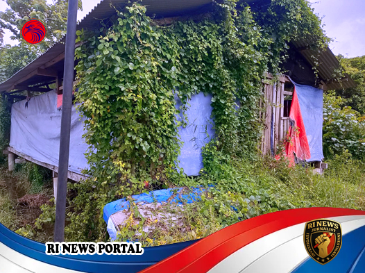 Hilangnya 50 Ekor Kambing dan Kandang Mangkrak