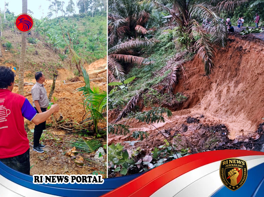 Longsor Akibat Hujan Deras Lumpuhkan Akses Jalan di Angkola Selatan