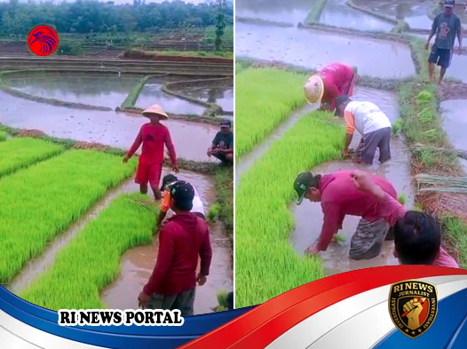 Menghadapi Musim Hujan