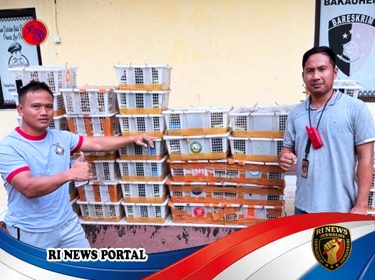 Operasi Gabungan Gagalkan Penyelundupan 458 Burung Liar di Pelabuhan Bakauheni