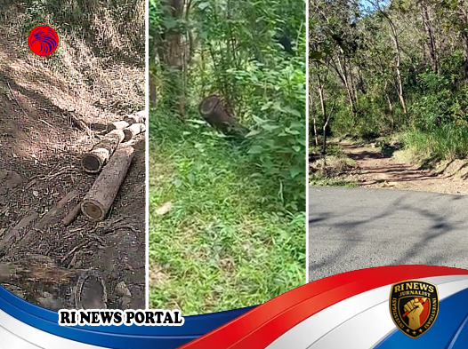Pembalakan Liar di Hutan Lindung Wonogiri