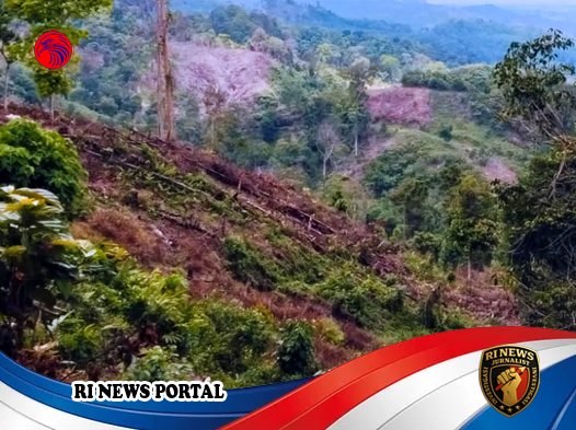 Penanaman Kelapa Sawit di Kawasan Hutan Produksi Terbatas