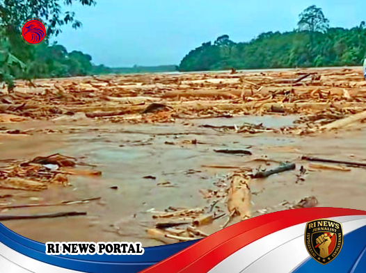 Pola Berulang yang Mengancam Nyawa dan Menghidupkan Degradasi Lingkungan