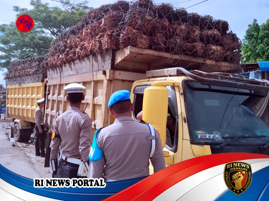 Polres Melawi Gencarkan Edukasi Keselamatan Angkutan Sawit di Jalur Rawan Kecelakaan