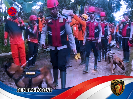 Sembilan Anjing Pelacak dan Alat Berat Dikerahkan di Lima Titik Kritis