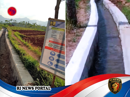 Swasembada Pangan di Ujung Sawah