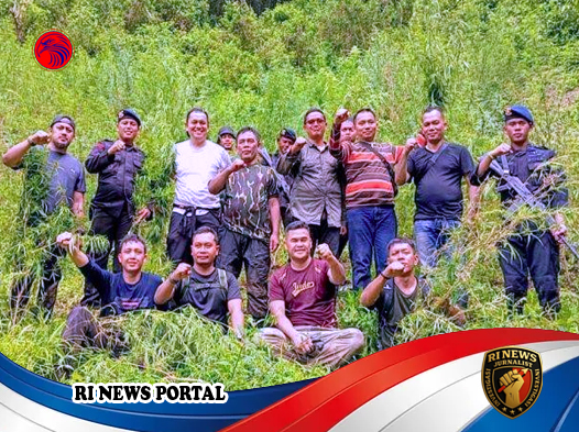 Upaya Brimob Sumut Memutus Rantai Narkotika di Perbukitan Terpencil