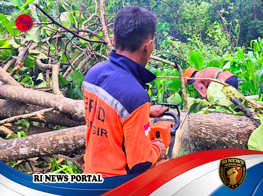 Angin Puting Beliung Landa Ngadirojo Wonogiri